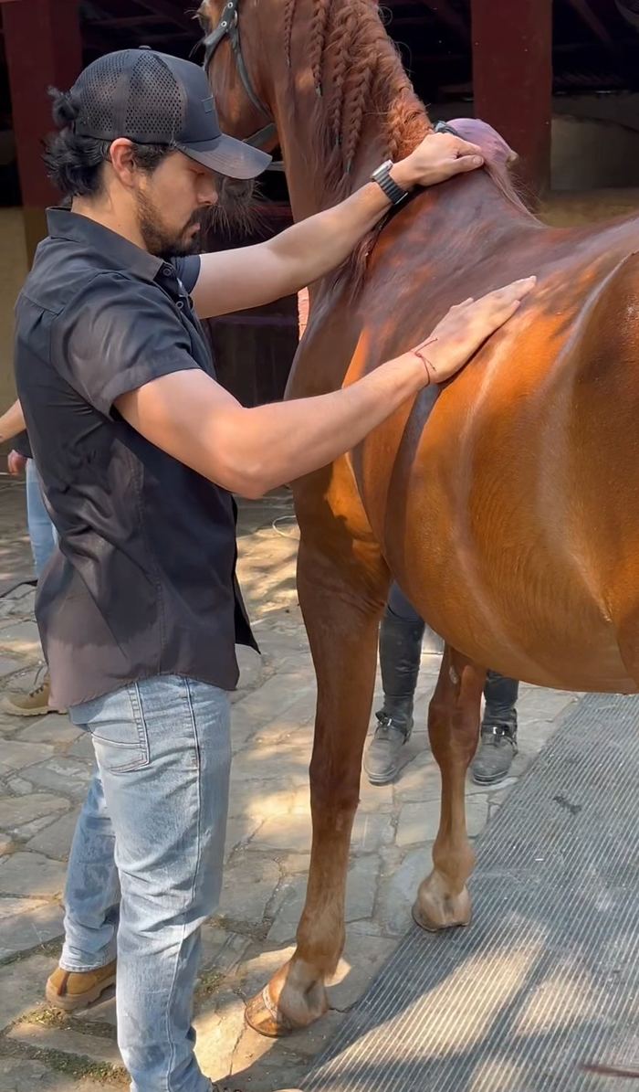 Edgar palpa la cruz y el lomo de un caballo alazán